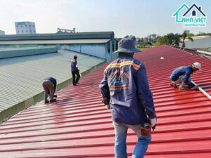 Thi công mái tôn tại một trang trại